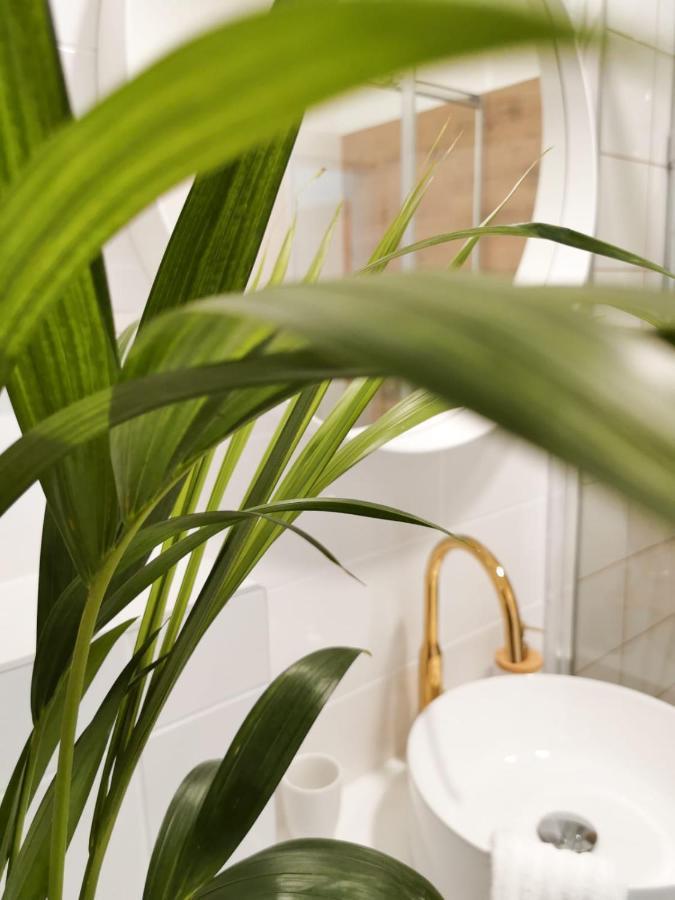 Apartment Litore